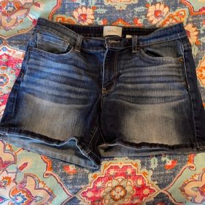 BKE Payton Denim Shorts
